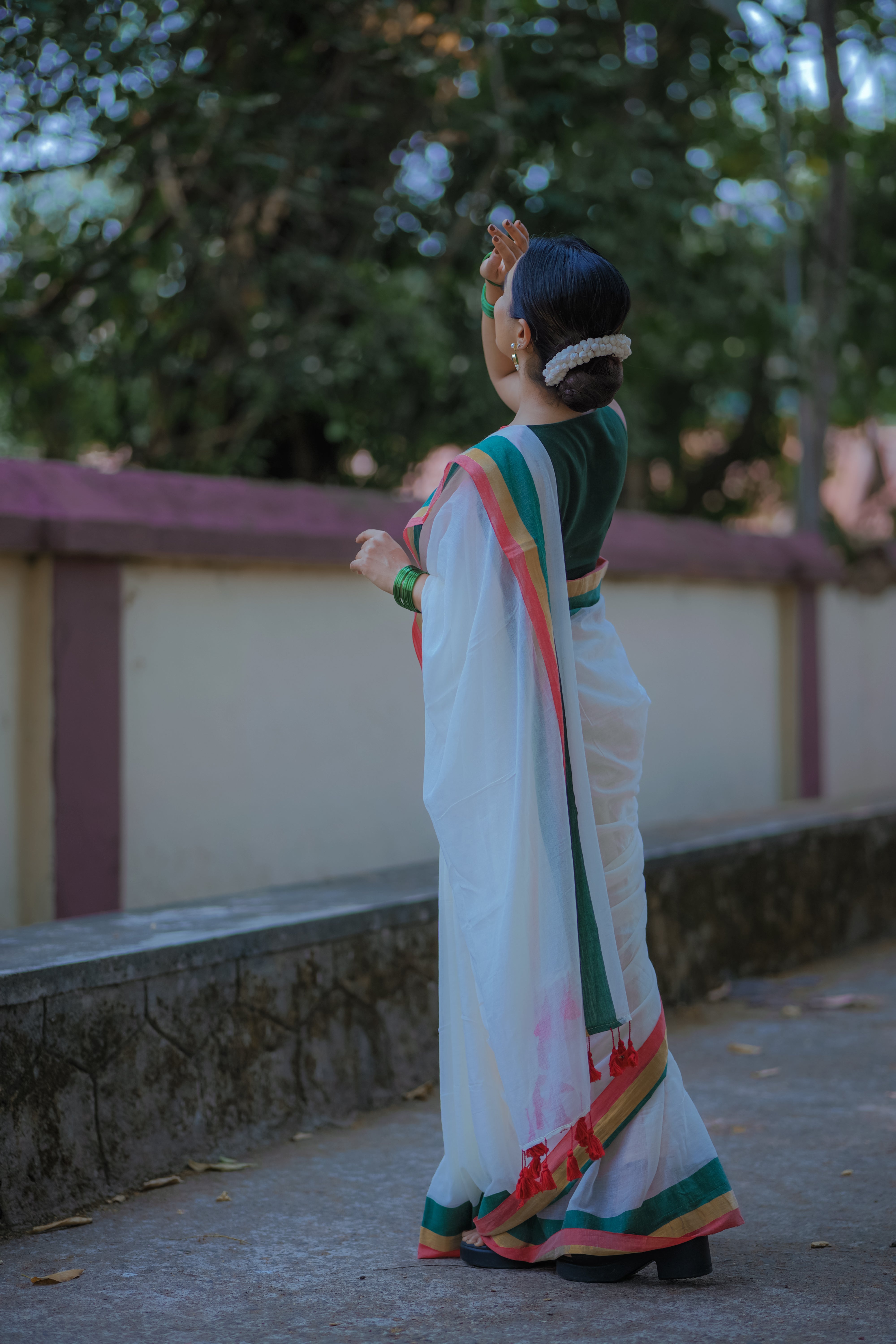 Multi Border Mul Mul Cotton Kasavu Saree